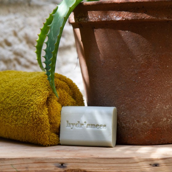 Savon solide au lait d'ânesse aloe vera 100g hydr'aness