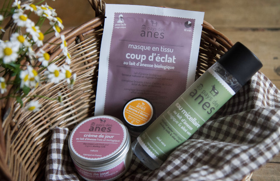 Les cosmétiques au lait d’ânesse : soins ciblés anti-âge